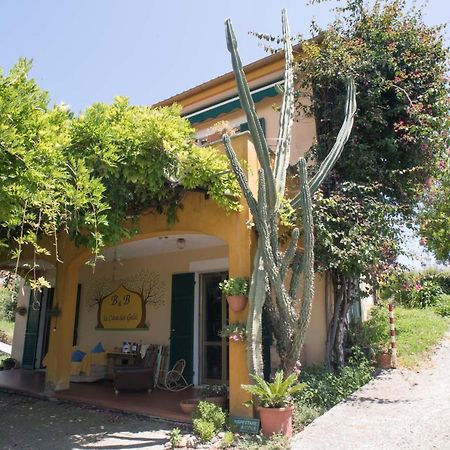 B&B La Casa Dei Gelsi Loano Kültér fotó